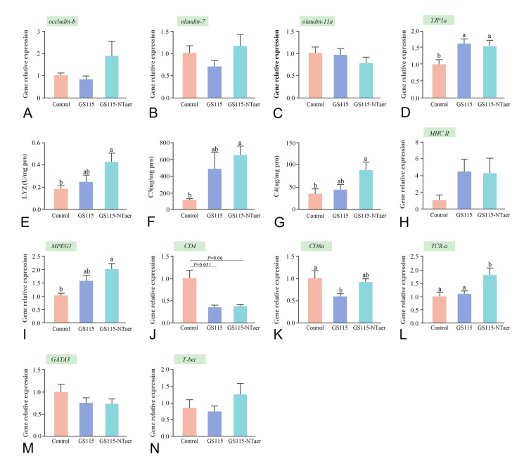 <i>Pichia pastoris</i> composition expressed aerolysin mutant of <i>Aeromonas veronii</i> as an oral vaccine evaluated in zebrafish (<i>Danio rerio</i>).