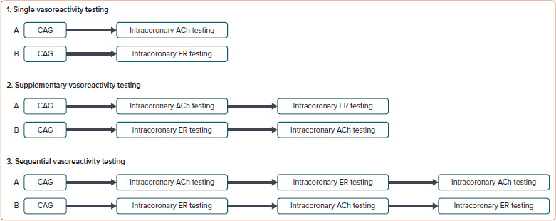 A Review of the Role of Tests of Coronary Reactivity in Clinical Practice.