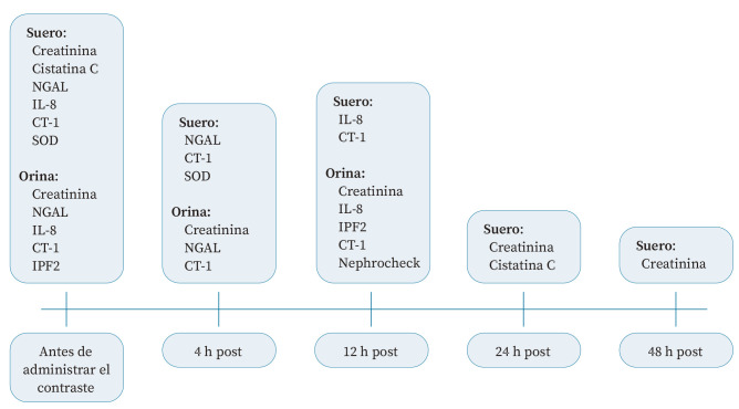 [Biomarkers of oxidative stress and inflammation in contrast-associated acute kidney injury].