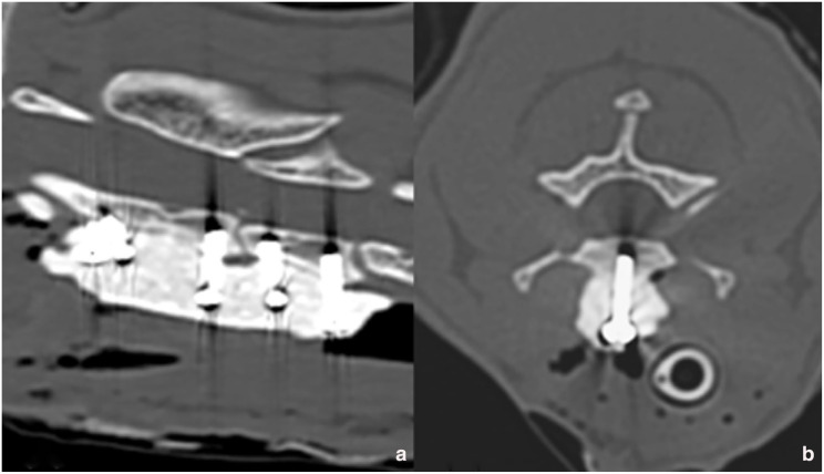 Surgical stabilisation of a traumatic cervical subluxation in a cat.