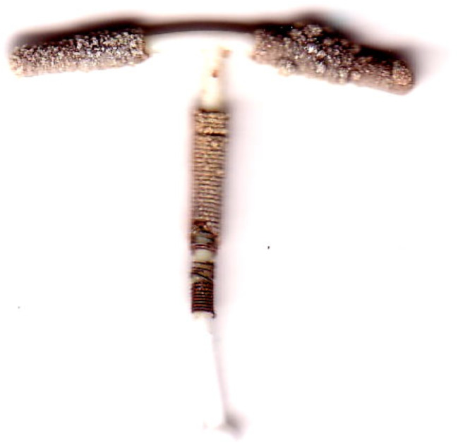 Abstract Image