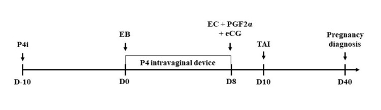 Evolution over the last 40 years of the assisted reproduction technologies in cattle - the Brazilian perspective I - timed artificial insemination.