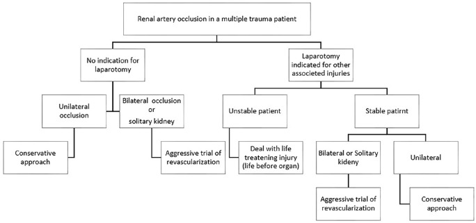 Traumatic Renal Artery Occlusion in Children: A Case Report.