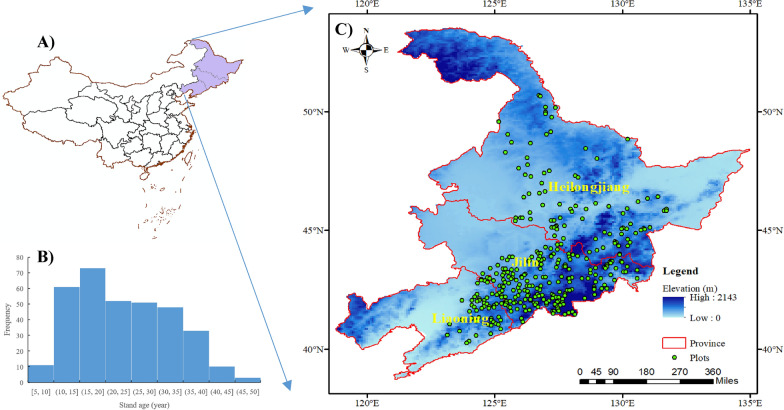 How to maximize the joint benefits of timber production and carbon sequestration for rural areas? A case study of larch plantations in northeast China