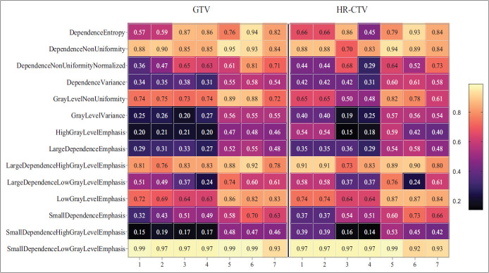 Magnetic Resonance Image Radiomic Reproducibility: The Impact of Preprocessing on Extracted Features from Gross and High-Risk Clinical Tumor Volumes in Cervical Cancer Patients before Brachytherapy.