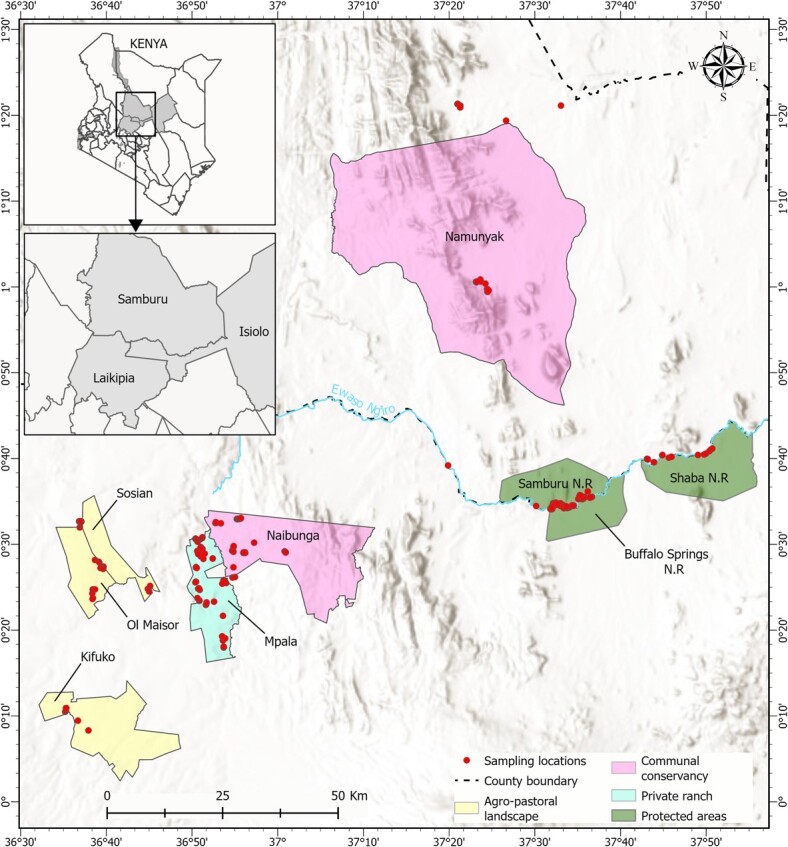Adrenal and metabolic hormones demonstrate risk-reward trade-offs for African elephants foraging in human-dominated landscapes.