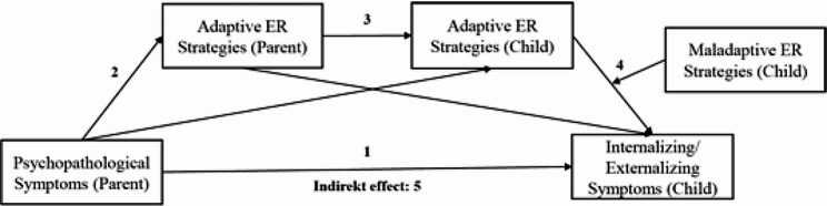 Transgenerational transmission of psychopathology: when are adaptive emotion regulation strategies protective in children?