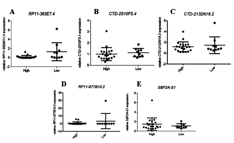 Combined expression of JHDM1D/KDM7A gene and long non-coding RNA RP11-363E7.4 as a biomarker for urothelial cancer prognosis.
