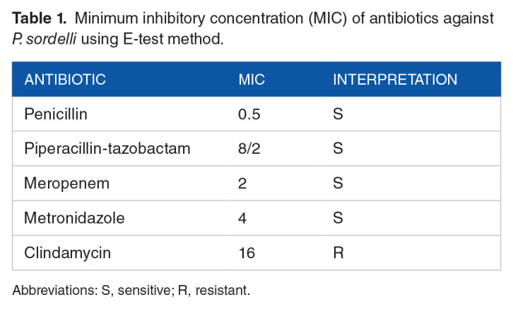 Beyond the Ordinary: Paeniclostridium sordellii Osteomyelitis in a Young Male Patient From Pakistan.