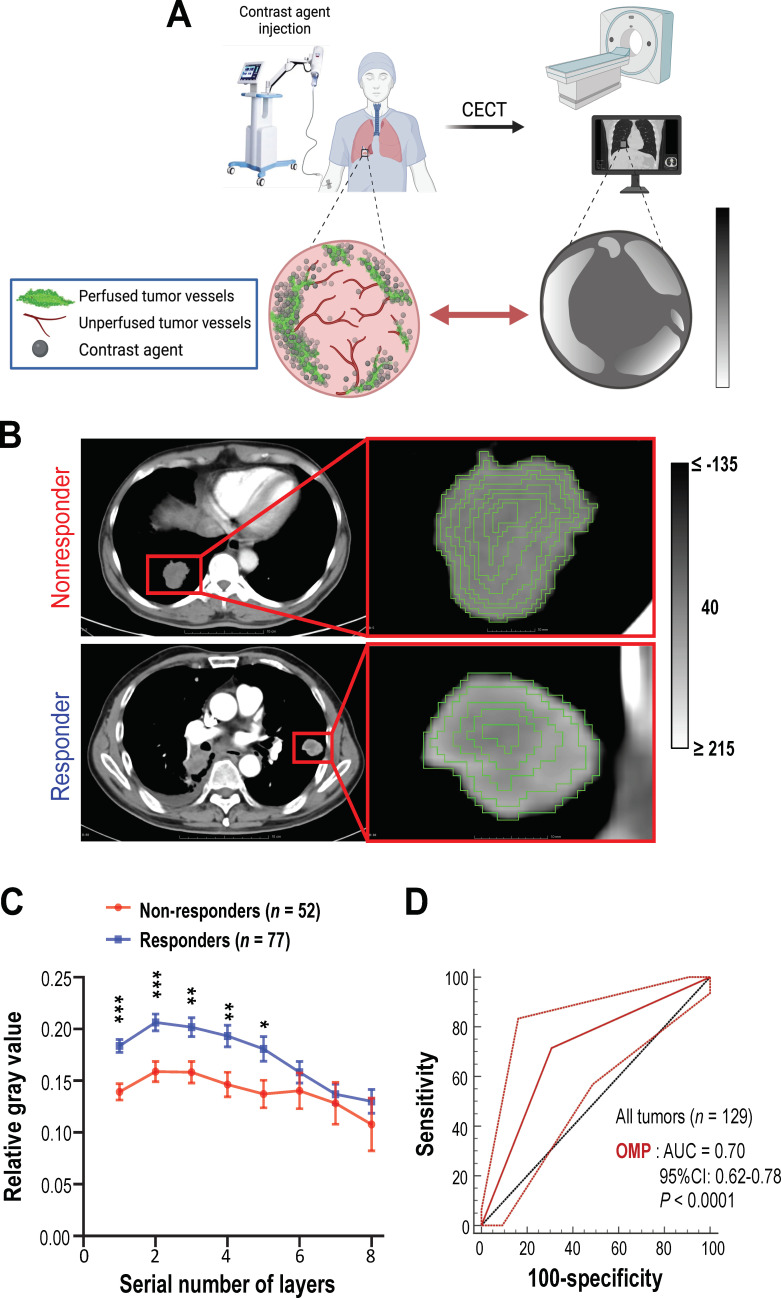 Baseline tumour vessel perfusion as a non-invasive predictive biomarker for immune checkpoint therapy in non-small-cell lung cancer.