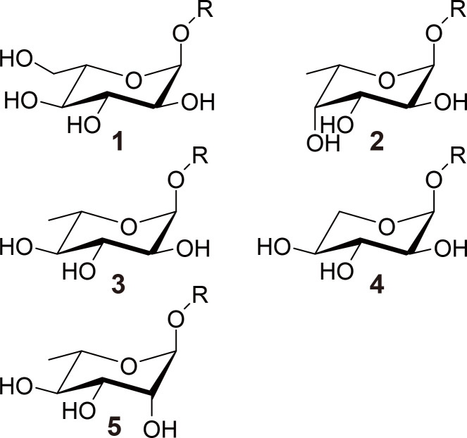 Substrate Specificity of GH29 α-L-Glucosidases from <i>Cecembia lonarensis</i>.