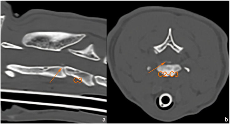 Surgical stabilisation of a traumatic cervical subluxation in a cat.