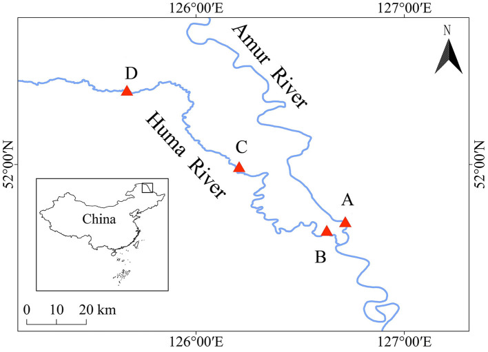Identification of the regulatory roles of water qualities on the spatio-temporal dynamics of microbiota communities in the water and fish guts in the Heilongjiang River.