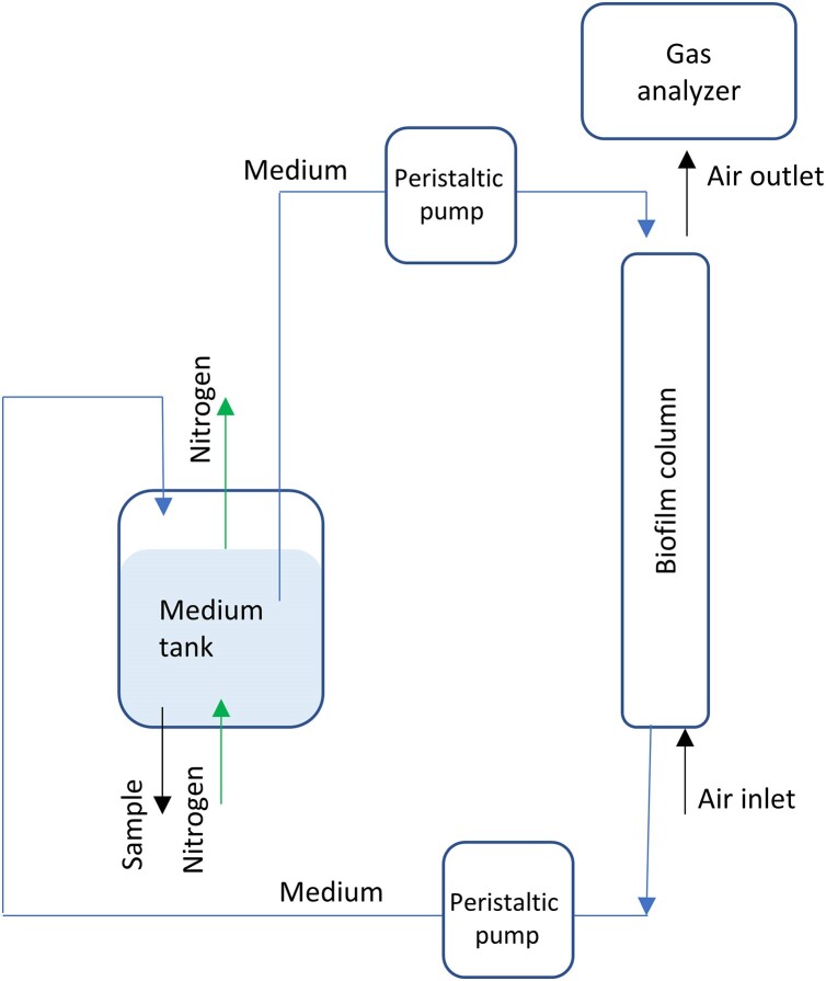 Characterization of the metabolism of the yeast <i>Yarrowia lipolytica</i> growing as a biofilm.
