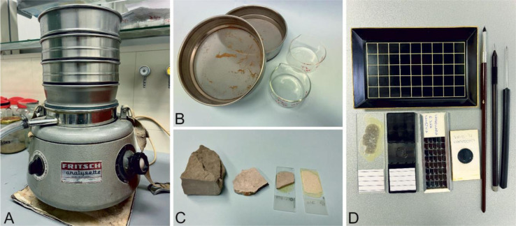 Marine microfossils: Tiny archives of ocean changes through deep time.