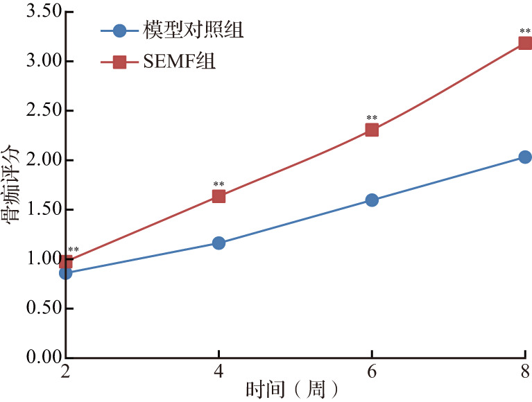 摘要图片