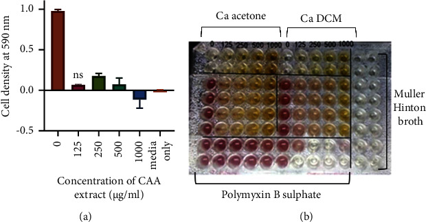 Antibacterial Activity and Proposed Mode of Action of Extracts from Selected Zimbabwean Medicinal Plants against <i>Acinetobacter baumannii</i>.