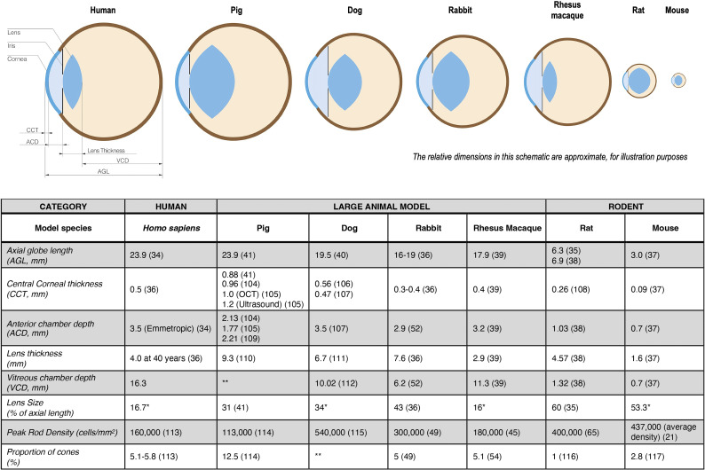 Large animal model species in pluripotent stem cell therapy research and development for retinal diseases: a systematic review.