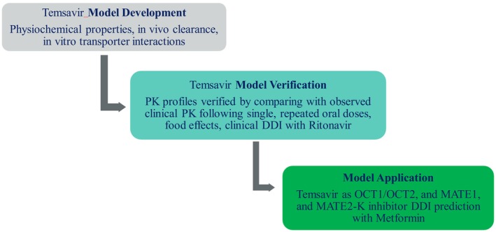 No dose adjustment of metformin or substrates of organic cation transporters (OCT)1 and OCT2 and multidrug and toxin extrusion protein (MATE)1/2K with fostemsavir coadministration based on modeling approaches.