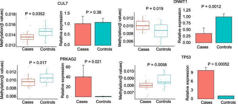 Differential methylation patterns in paternally imprinted gene promoter regions in sperm from hepatitis B virus infected individuals.
