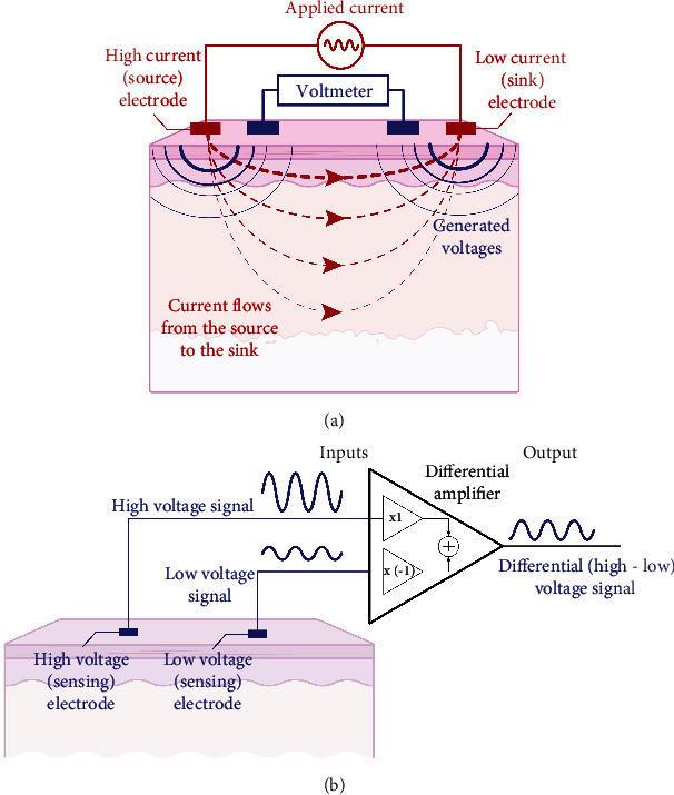 Electrical Impedance Dermography: Background, Current State, and Emerging Clinical Opportunities.