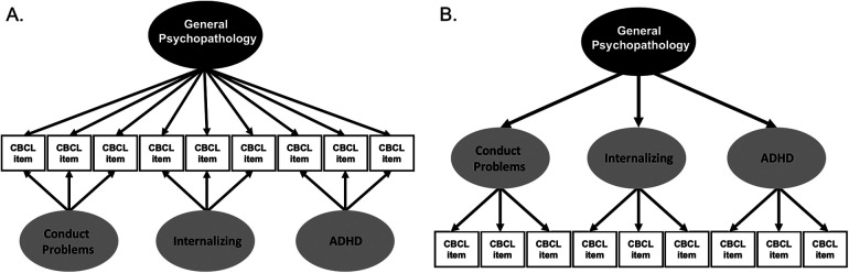 Understanding psychotic-like experiences in children in the context of dimensions of psychological problems.