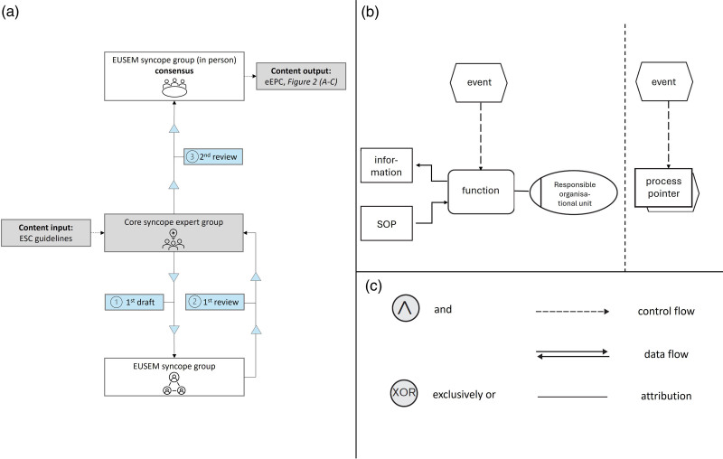 The syncope core management process in the emergency department: a consensus statement of the EUSEM syncope group.