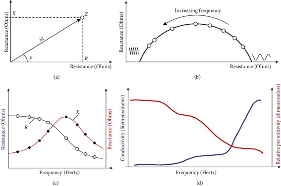 Electrical Impedance Dermography: Background, Current State, and Emerging Clinical Opportunities.