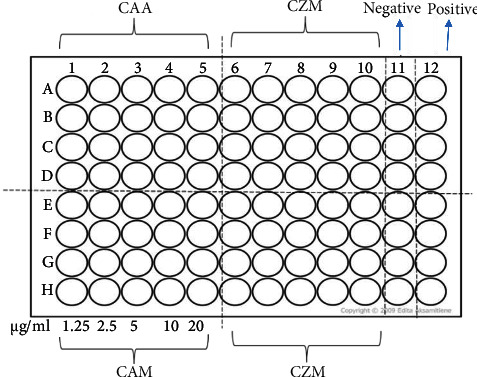 Antibacterial Activity and Proposed Mode of Action of Extracts from Selected Zimbabwean Medicinal Plants against <i>Acinetobacter baumannii</i>.