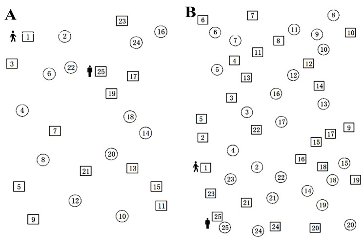 Comparative analysis of the effects of the computer-based and paper-based trail making tests on oxygenation in the prefrontal cortex.