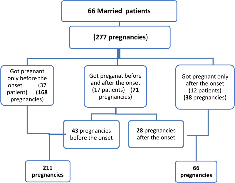 Pregnancy characteristics in Egyptian female patients with NMOSD.