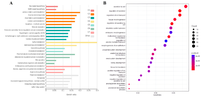 Comparison of the gene expression profiles of endometrial and trophoblastic cells in women with recurrent miscarriage: A bioinformatics approach.