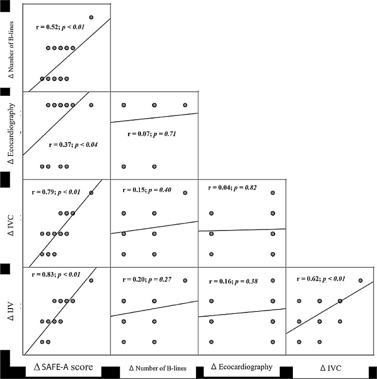 Sonographic findings using the SAFE-A protocol in pre- and post-hemodialysis patients.
