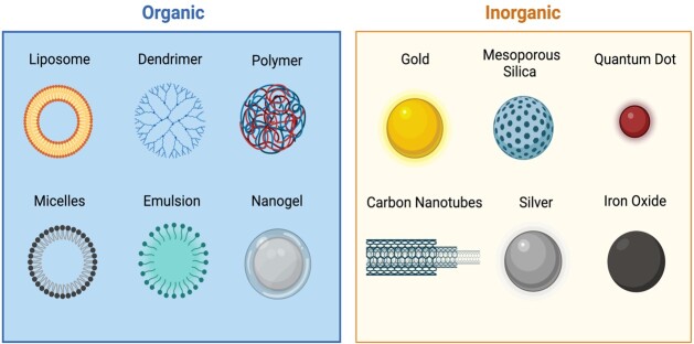 Exploring the full potential of sperm function with nanotechnology tools.