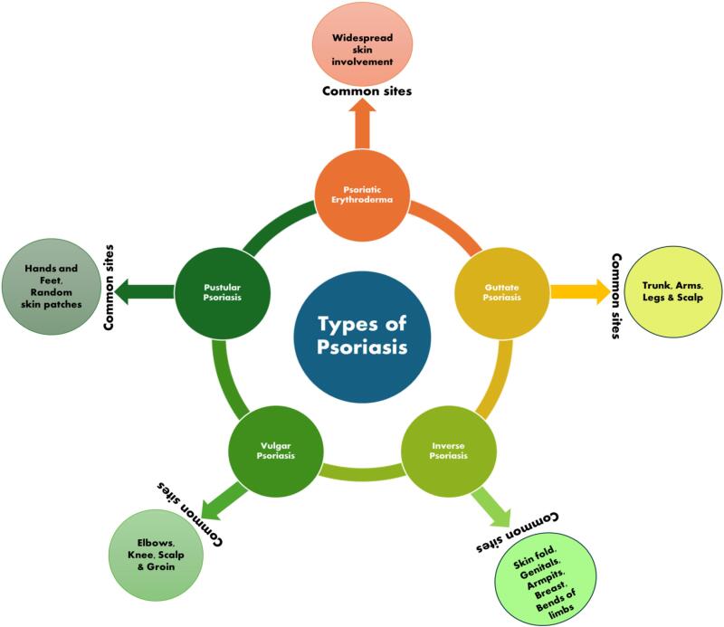The treatment of psoriasis via herbal formulation and nano-polyherbal formulation: A new approach.