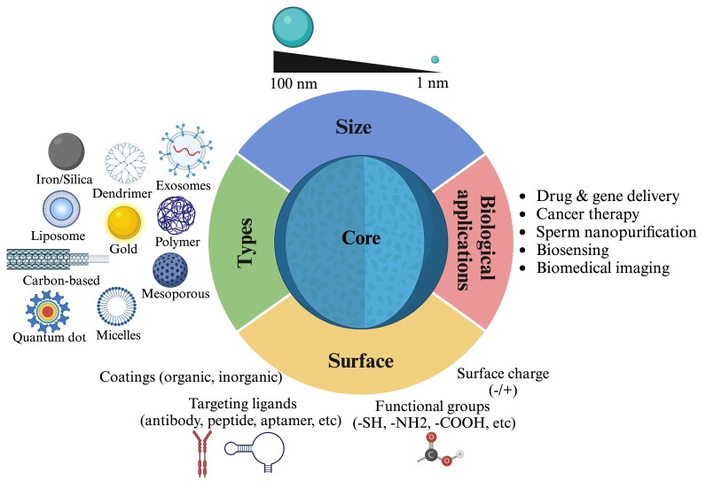 Exploring the full potential of sperm function with nanotechnology tools.