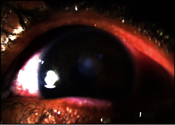 Abstract Image