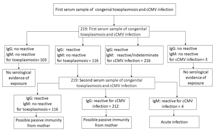 Detection of Congenital Toxoplasmosis and Cytomegalovirus Infections Using Paired Sample Serodiagnosis from Suspected Cases at a Tertiary Teaching Hospital in Malaysia.