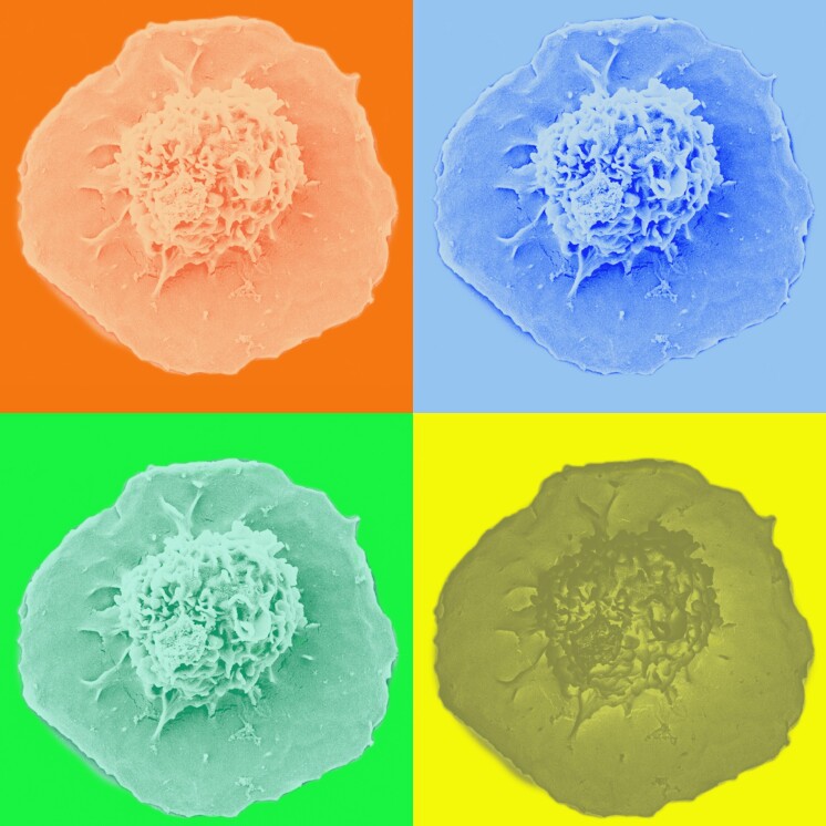 Abstract Image