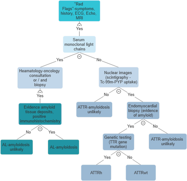 Current Therapies and Future Horizons in Cardiac Amyloidosis Treatment.
