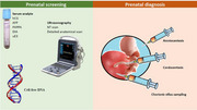 A Situational Overview of Prenatal Screening Services in Bhutan.