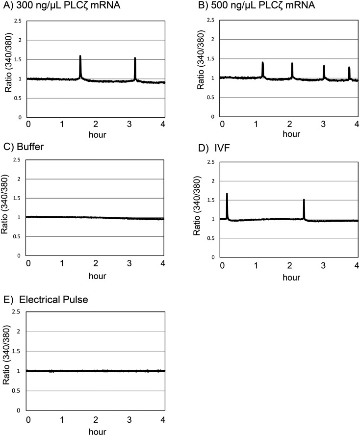 Oocyte activation with phospholipase Cζ mRNA induces repetitive intracellular Ca<sup>2+</sup> rises and improves the quality of pig embryos after intracytoplasmic sperm injection.