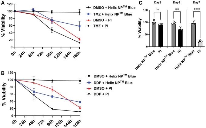 Methods in cancer research: Assessing therapy response of spheroid cultures by life cell imaging using a cost-effective live-dead staining protocol.