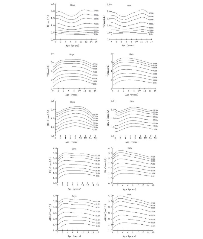 Abstract Image