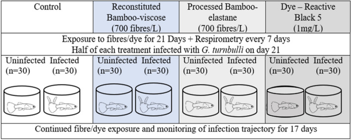 Analysis of bamboo fibres and their associated dye on a freshwater fish host-parasite system.