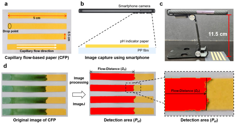 Capillary Flow-Based One-Minute Quantification of Amyloid Proteolysis.