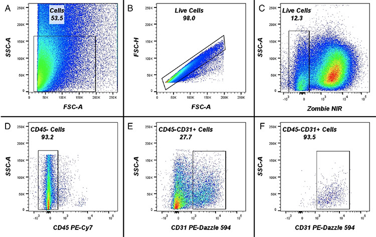 <i>JAK2</i>V617F Mutation in Endothelial Cells of Patients with Atherosclerotic Carotid Disease
