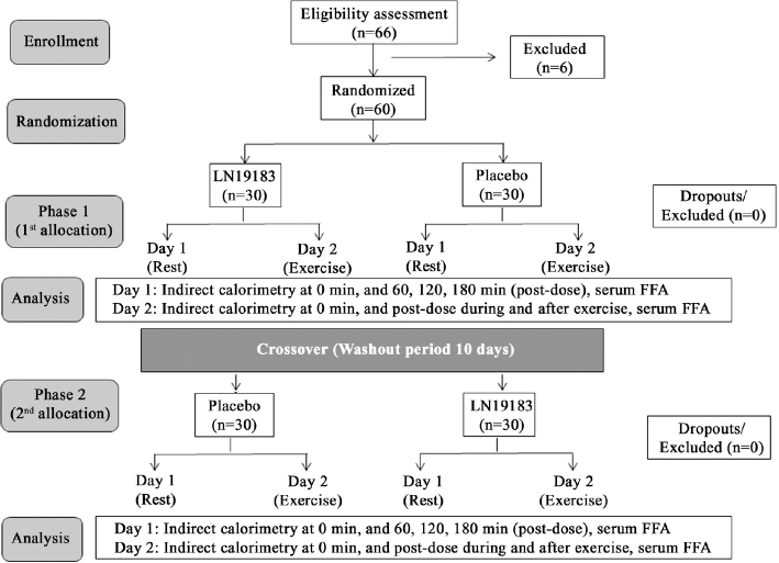 A combination of <i>Citrus aurantifolia</i> fruit rind and <i>Theobroma cacao</i> seed extracts supplementation enhances metabolic rates in overweight subjects: a randomized, placebo-controlled, cross-over study.