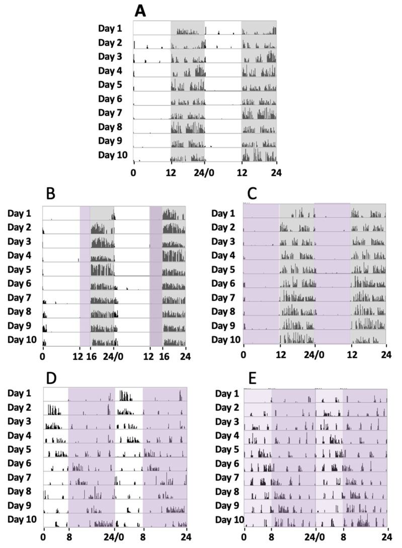 Violet Light Effects on the Circadian Rest-Activity Rhythm and the Visual System.