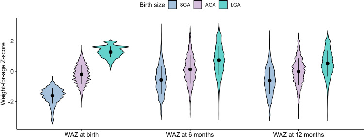 Growth Status of Full-Term Infants with Different Sizes for Gestational Age During the First Year of Life.